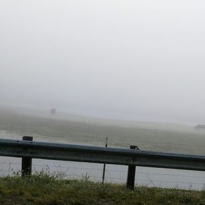 Meet your Posher, Kandice